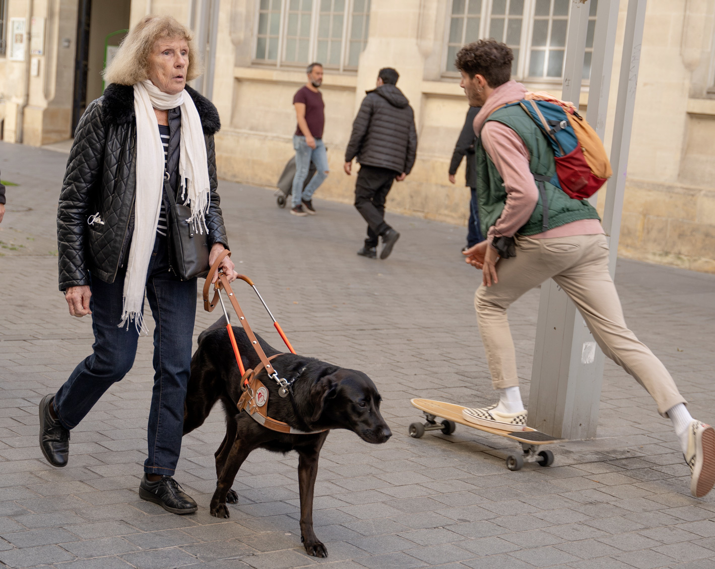 Les meilleurs escaliers pour chien [Guide 2023]