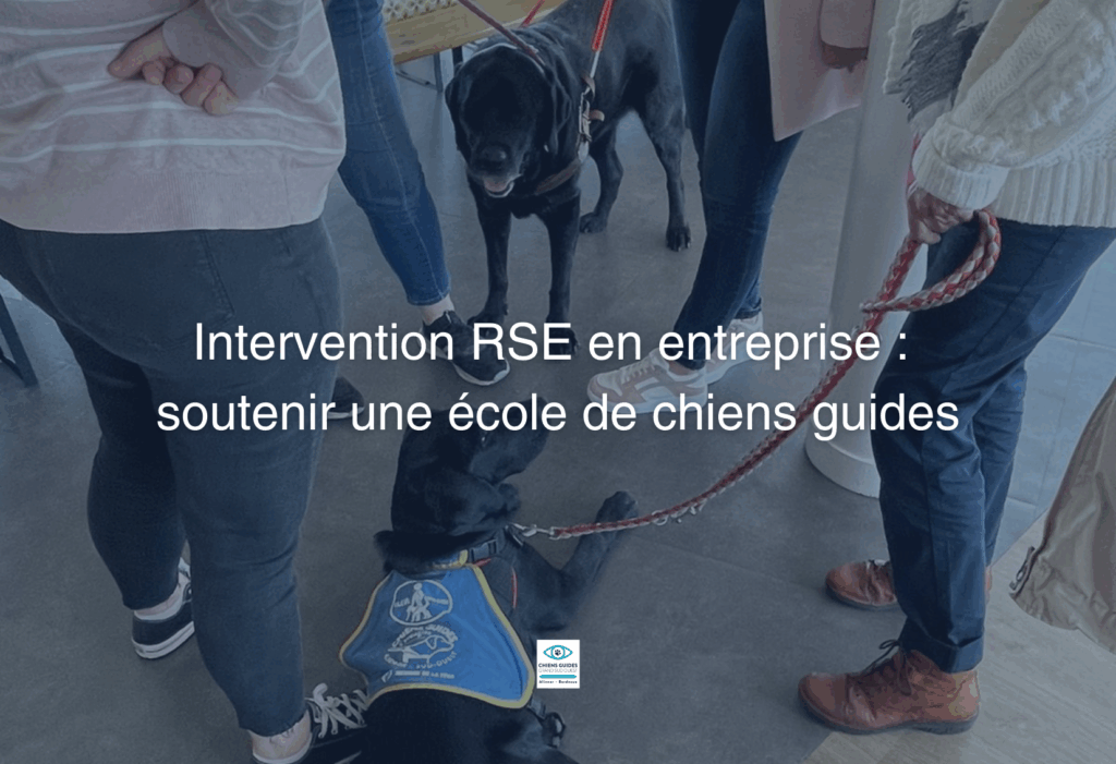 Intervention RSE en entreprise : soutenir une école de chiens guides