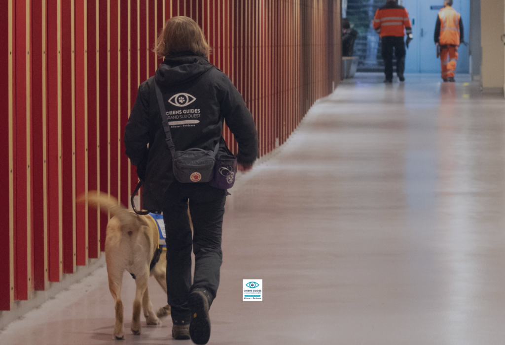 Photo de Christelle, élève éducatrice à l'école de chiens guides Aliénor d'Aquitaine en séance d'éducation avec Ayrton.