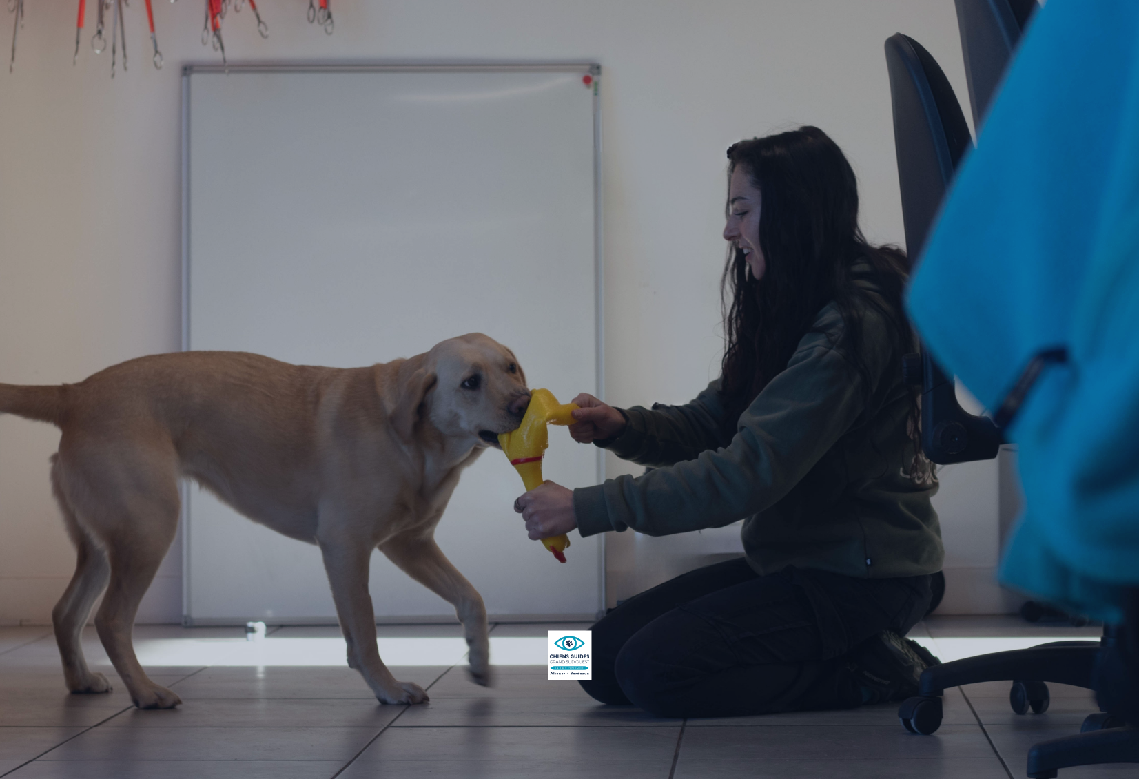 Photo de Romane, animalière en fromation à l'école des chians guides aliénor aquitaine jouant avec un chien guide en formation