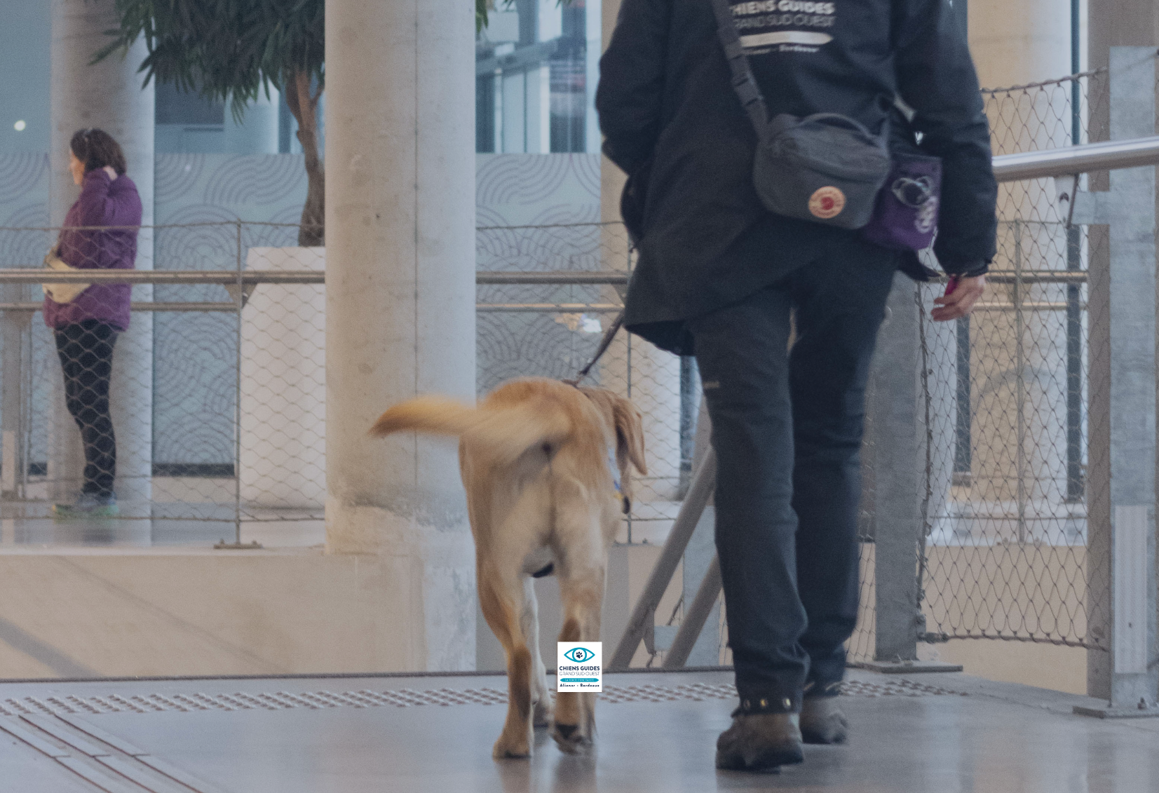 Photo de Christelle en séance d'éducation avec un chien guide de l'école aliénor aquitaine pour une intervention RSE en entreprise