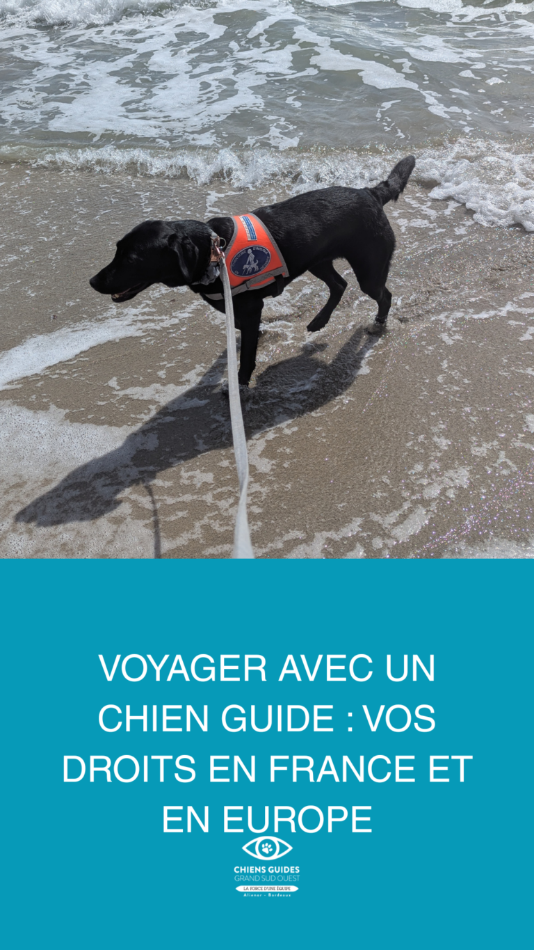 Le voyage de Scooby, chien guide en voyage