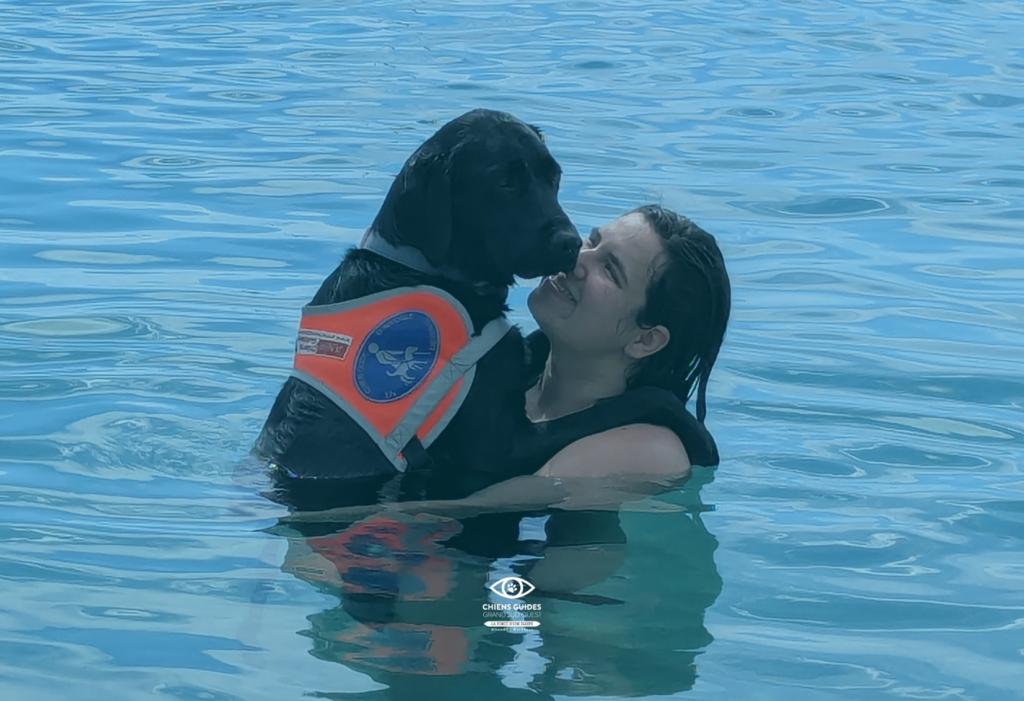 Le voyage de Scooby, chien guide en voyage