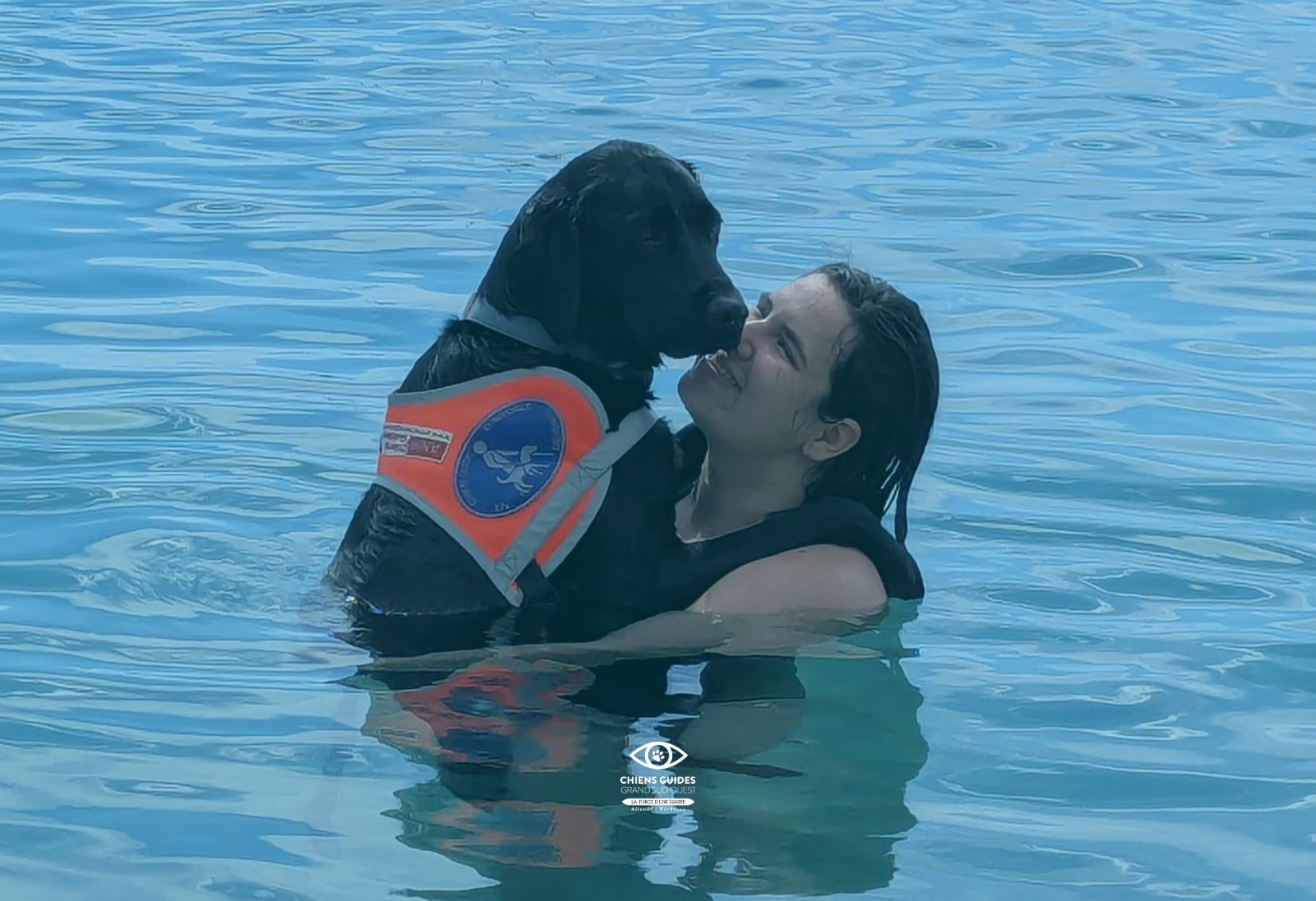 Le voyage de Scooby, chien guide en voyage