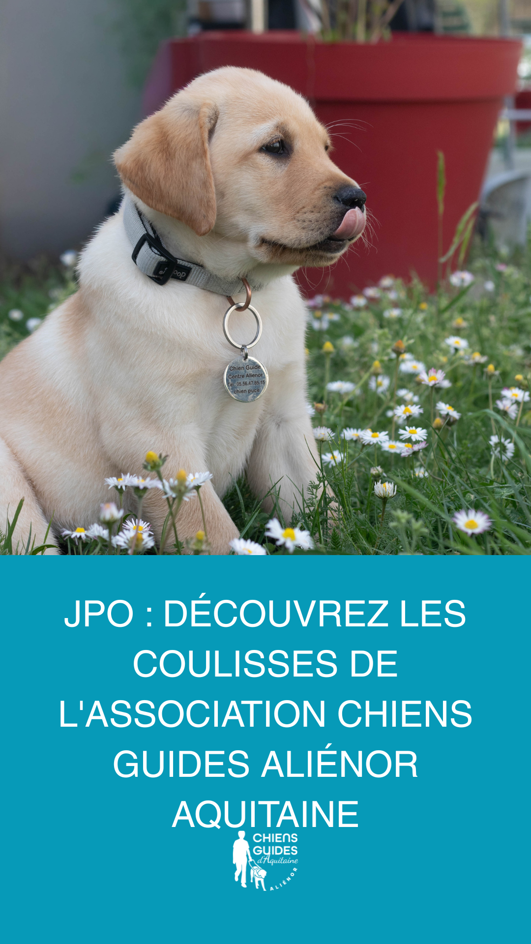 Journée Portes Ouvertes 2026