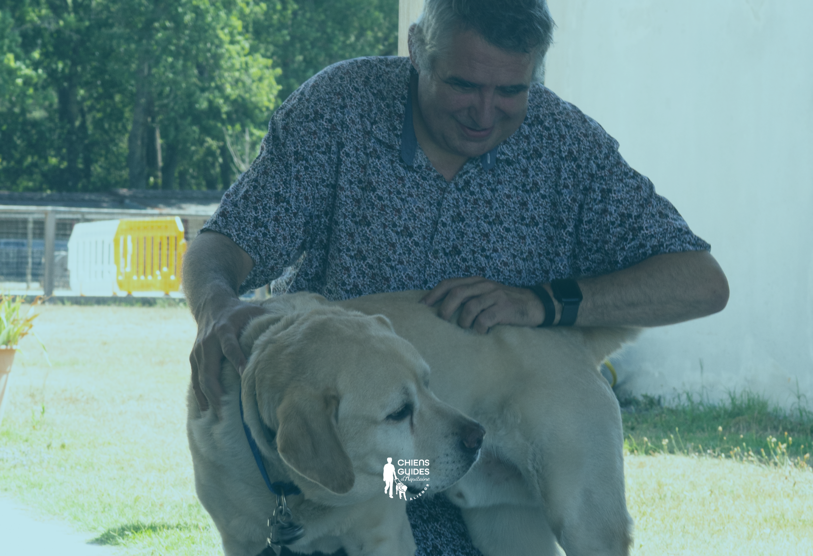 Le parcours du chien guide