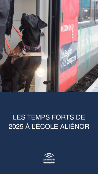 Infographie d'un chien guide en apprentissage à la gare de bordeaux avec en dessous le texte : "les temps forts de 2025 à l'école aliénor aquitaine"