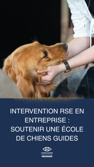 Intervention RSE en entreprise : soutenir une école de chiens guides