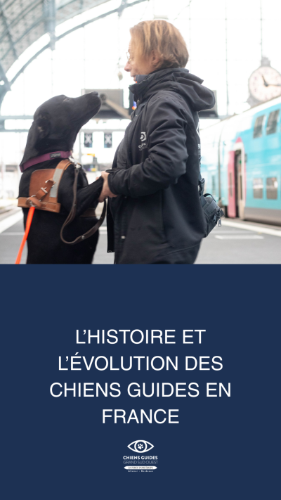 Photo de Christelle et Virgule lors d'une séance d'éducation à la gare saint jean à Bordeaux avec le titre : L’histoire et l’évolution des chiens guides en France