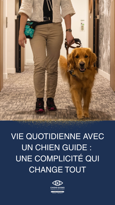 img-blog-Viequotidienneavecunchienguideunecomplicitéquichangetout