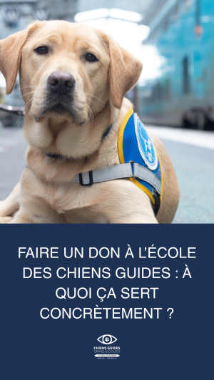 Photo d'Ayrton à la gare de Bordeaux Saint Jean lors d'une sortie d'éducation avec l'élève éducatrice Christelle de l’École des Chiens Guides Aliénor Aquitaine