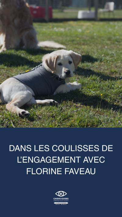Photo de Basil, chiot de 4 mois à l'écoel des chiens guides aliénor aquitaine avec Florine Faveau