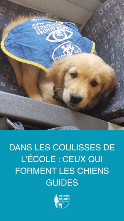 Phto d'Unzip dans le tram Bordelais pour l'association des chiens guides ALiénor Aquitaine