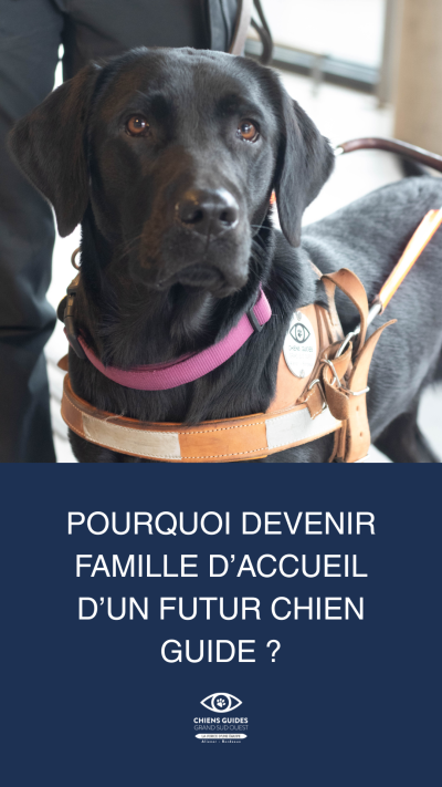pourquoi devenir famille d'accueil d'un futur chien guide