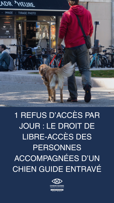 Refus d'accès chiens guides