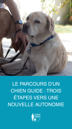 img-blog-troisétapes